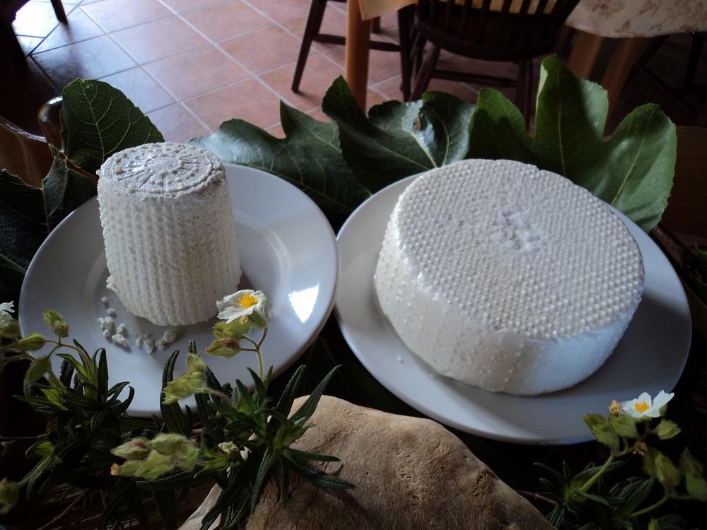 Agriturismo Aurella Ascea Bagian luar foto